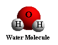 Water Molecule