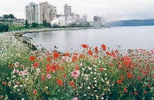 West Vancouver scenics